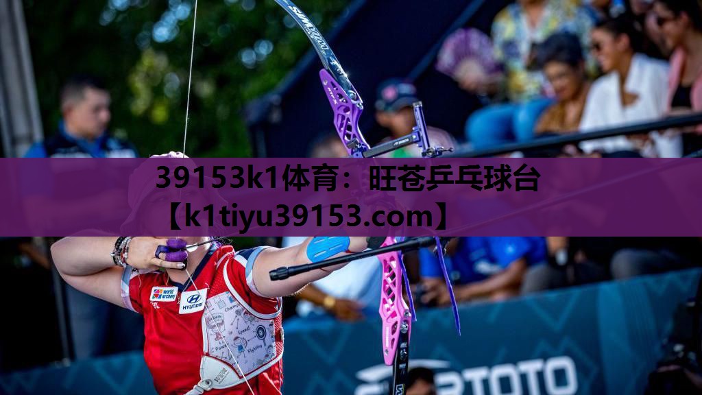 39153k1体育：旺苍乒乓球台