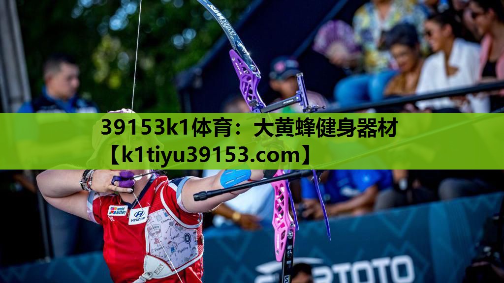 39153k1体育：大黄蜂健身器材
