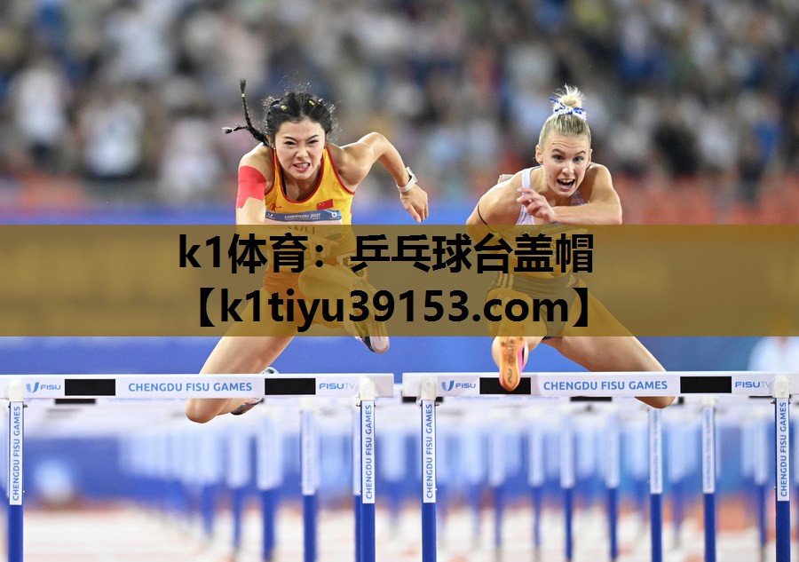 乒乓球台盖帽